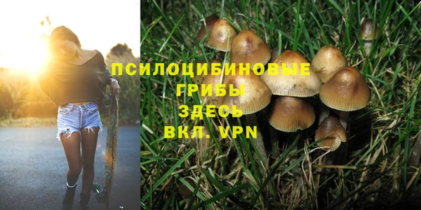 mix Абинск