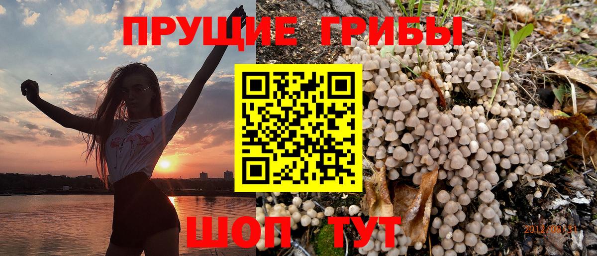 Галлюциногенные грибы Cubensis  Псилоцибиновые грибы Cubensis  Вход с VPN  Оренбург 