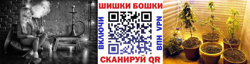 закладка Оренбург Шишки марихуана планчик